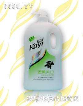 VݝջƷ޹˾޹ԡ¶2000ml